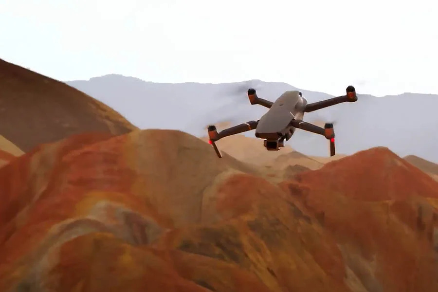 adult drones